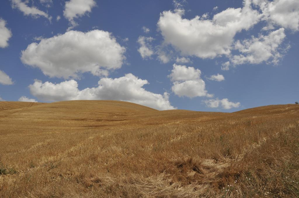 Agriturismo Podere Campaini Volterra Kültér fotó